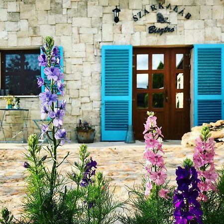 Szarka Vendégház és Pince Mád Exterior foto